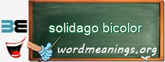 WordMeaning blackboard for solidago bicolor